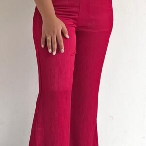 T17 - Back Elasticated Plazo Pant