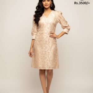 D42 V Neck Aline Dress